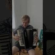Черный Бумер Аккордеон