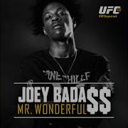 Joey Bada Mr Wonderful