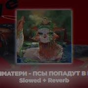 Полматери Псы Попадут В Рай Slowed Reverb