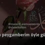 Kırmızı Güller