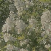 Тихий Гим Спид Ап