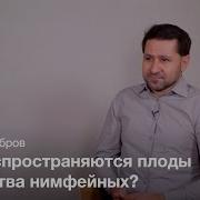 Беседа Алексей Бобров