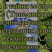 Секлитова Выбор Души Часть 2