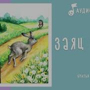 Сказки Ёжик Заяц