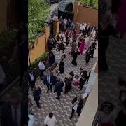 Yezidi Kurdish Wedding Езидская Курдская Свадьба Песня Song Kadjike