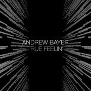 Andrew Bayer True Feelin