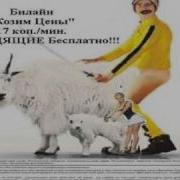 Билайн Реклама Косим Цены