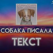 Собака Писала