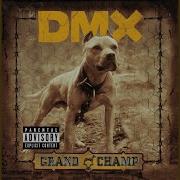 Bring The Noize Dmx