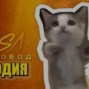 Шни Шна Шнапи В Породие Пчеловод