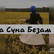 Вола Суна Безам Лой