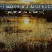Гамаюн Или Закат На Болоте