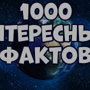 1000 Интересных Фактов Обо Всем