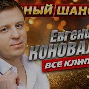 Песни Евгения Коновалова