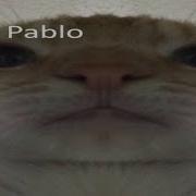 Pablo Meme