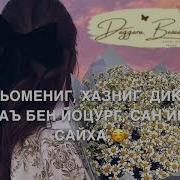 Элина Мисербиева Йиша