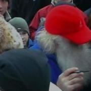 Алигатор И Мс Вспышкин