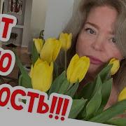Наталия Фалконе