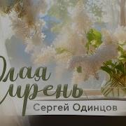 Эта Песня Душу Расстревожила Белая Сирень Сергей Одинцов