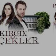 Kirgin Cicekler Soluk Sollunga