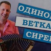 Паша Гармонист Одинокая Ветка Сирени