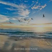 Spring May Relaxing Nature Sounds Collection