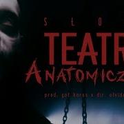 Słoń Teatr Anatomiczny