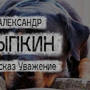 Рассказ Уважение Цыпкин