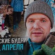 Семейка Огурцов Погляди Ка В Огород Огурцов Семья Растет