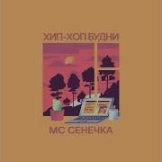 Скорость Мс Сенечка