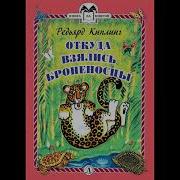 Откуда Взялись Броненосцы