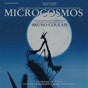 La Nuit Microcosmos Bruno Coulais