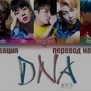 Bts 방탄소년단 Dna Official Mv Перевод