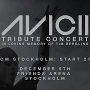 Avicii Tribute Concert