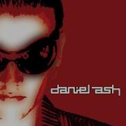 Daniel Ash Hollywood Fix