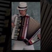 Красивые Аккордеонистки Видео