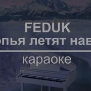 Feduk Хлопья Летят Наверх Караоке