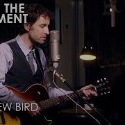 Andrew Bird Tenuousness