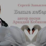Написал Минус И Спел Слова Сергея Завьялова Побег