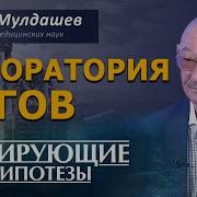 Мулдашев Разоблачение