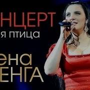 Елена Ваенга Концерт Белая Птица