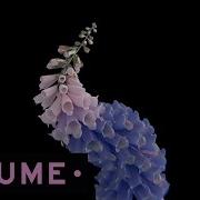 Flume Take A Chance