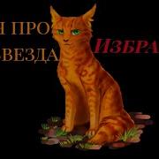 Коты Воители Клип Избранник