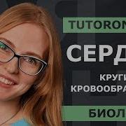 Под Сердцами Кругами