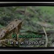 Караоке На Дальней Станции