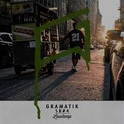 Violin Chop Gramatik