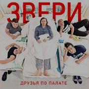 Идите К Чёрту Звери