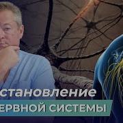 Восстанавливаем Нервную Систему