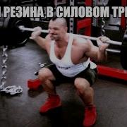 Зоиби Жимс