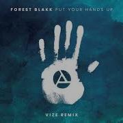 Put Your Hands Up Vize Remix Forest Blakk